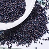 MIYUKI Delica Beads X-SEED-J020-DB0323-1