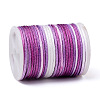 Segment Dyed Polyester Thread LS-NWIR-I013-C-08-2