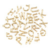 Alloy Pendants PALLOY-S137-001-NR-2