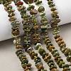 Natural Rhyolite Jasper Beads Strands G-F821-B01-01-1