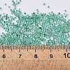 Natural Beryl Beads G-Z016-12-2