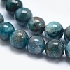 Natural Apatite Beads G-E481-05-12mm-3