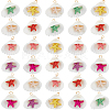 32Pcs Summer Beach Natural Shell Pendants FIND-SC0012-34-1