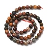 Natural Polychrome Jasper/Picasso Stone/Picasso Jasper Beads Strands G-E571-25A-5