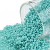 TOHO 11/0 Round Beads SEED-JPTR11-0055-1