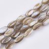 Freshwater Shell Beads Strands SHEL-S276-34A-1