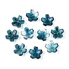 Baking Paint Transparent Glass Bead Caps DGLA-N014-06A-01-1