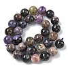 Natural Charoite Beads Strands G-C270-O03-12-3