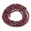 Natural Garnet Beads Strands X-G-F619-17A-2mm-5