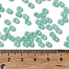 Glass Seed Beads SEED-H002-E-A1417-4