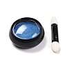 Chameleon Color Mirror Nail Powder MRMJ-Q095-M-2