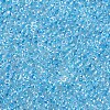 12/0 FGB Grade A Round Glass Seed Beads SEED-N001-E-321-2