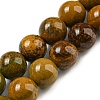 Natural Ocean Jasper Beads Strands G-P503-8MM-07-1