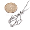 Crystal Holder Cage Necklace X-NJEW-JN04585-6