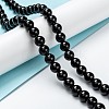 Natural Black Onyx Beads Strands G-Z024-02A-4