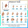 SUPERFINDINGS 37Pcs Conch & Shell Ornaments AJEW-FH0003-26-2