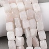 Natural Selenite Beads Strands G-D098-D17-1