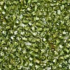 Picasso Baking Paint Glass Seed Beads SEED-N007-37H-3