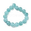 Dyed Natural Malaysia Jade Beads Strands G-G021-01D-08-4
