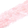 Natural Rose Quartz Beads Strands G-G018-13-1