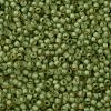 TOHO Round Seed Beads SEED-XTR11-0946FM-2