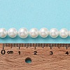 Shell Pearl Bead Strands BSHE-L026-03-6mm-7