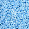 Lustered Glass Seed Beads SEED-K010-04B-2
