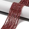 Natural Garnet Beads Strands G-B088-E11-02-2