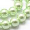 Polished Round Grade A Shell Pearl Bead Strands BSHE-M027-6mm-21-2