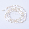 Natural Cultured Freshwater Pearl Beads Strands PEAR-S010-14-2