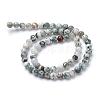 Natural Tree Agate Bead Strands G-R412-25-6mm-2
