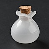Lucky Bag Shape Glass Cork Bottles Ornament AJEW-A039-02E-2