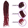 Goddess Locs Crochet Ombre Hair LS-OHAR-G005-09B-4