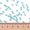 MIYUKI Round Rocailles Beads SEED-JP0009-RR0571-4