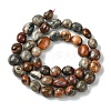 Natural Fossil Coral Beads Strands G-G117-A01-02-3