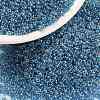 MIYUKI Round Rocailles Beads SEED-JP0010-RR0326-1