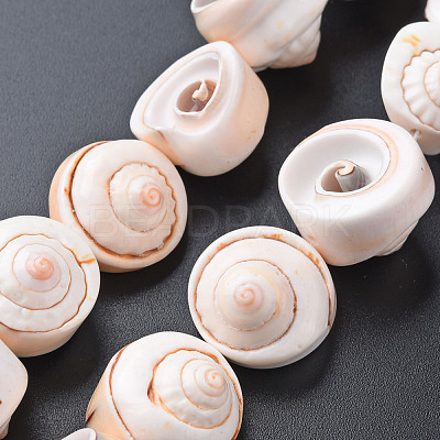 Natural Spiral Shell Bead Strands SSHEL-N034-106-1