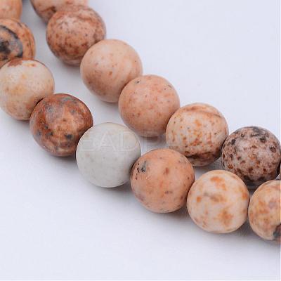 Natural Picture Jasper Beads Strands G-Q462-4mm-35-1