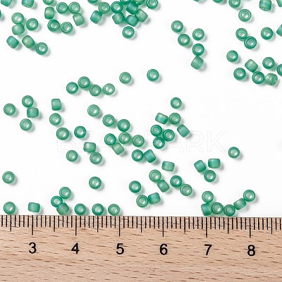 TOHO 8/0 Round Beads X-SEED-TR08-0164BF-1