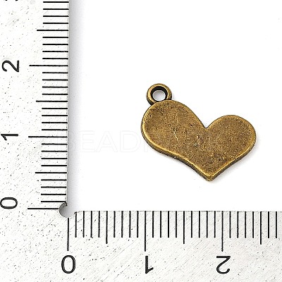 Tibetan Style Alloy Pendants TIBEP-R197-AB-FF-1