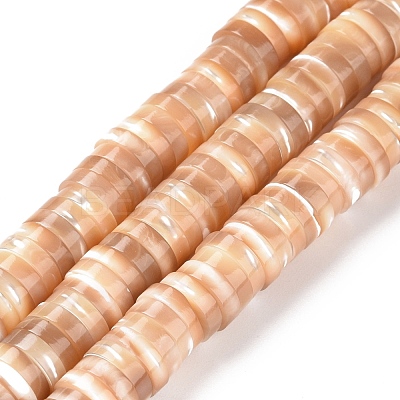 Natural Trochid Shell/Trochus Shell Beads Strands SSHEL-L016-13D-1