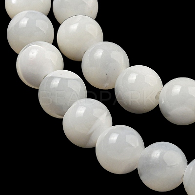 Natural Sea Shell Beads Strands SSHEL-K013-6mm-A-1
