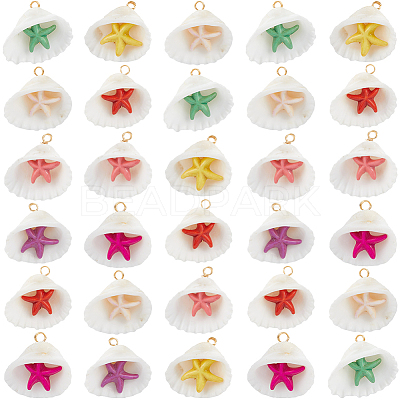 32Pcs Summer Beach Natural Shell Pendants FIND-SC0012-34-1