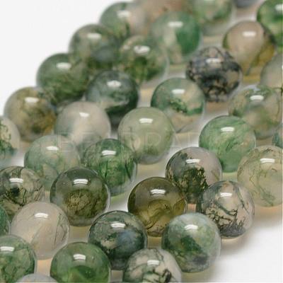 Natural Moss Agate Beads Strands G-F453-6mm-1