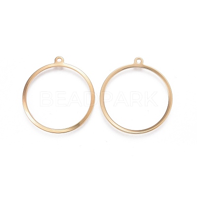 201 Stainless Steel Pendants STAS-F192-023G-1