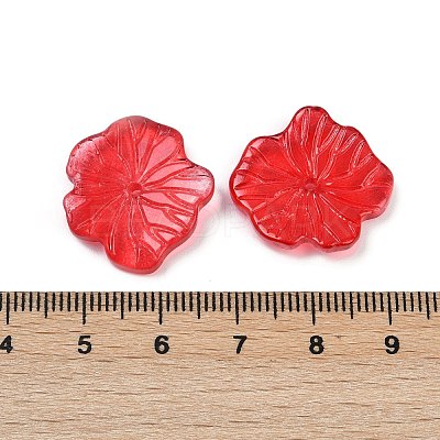 Transparent Glass Beads DGLA-E004-02F-1
