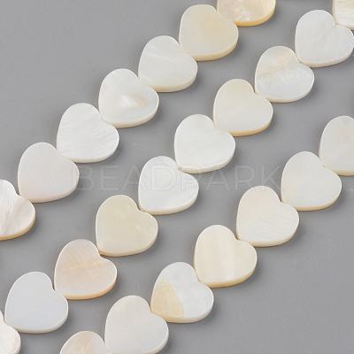 Natural Freshwater Shell Beads Strands X-SHEL-S276-87-1