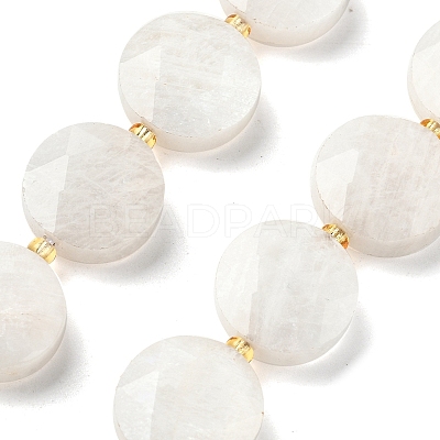 Natural Rainbow Moonstone Beads Strands G-C116-A168-03-1