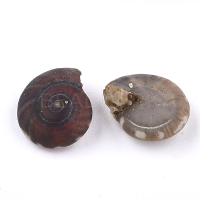 Spiral Shell Beads SSHEL-T005-01-1