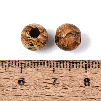 Natural Picture Jasper Beads G-Q602-08A-09-1